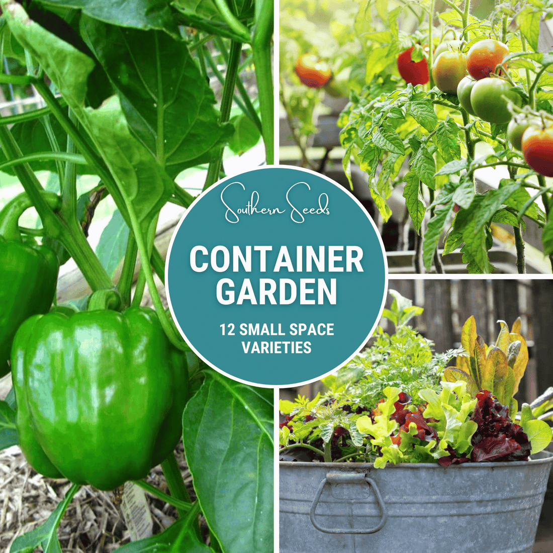 3 Easy Tips for Successful Container Gardening