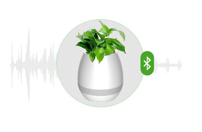 Music Flowerpot